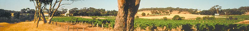 Panorama Barossa Valley