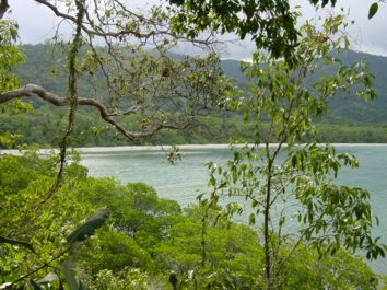 Blick auf Cape Tribulation