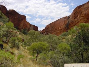 Blick in den Kings Canyon von unten