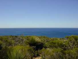 Grne Kste mit stahlblauem Meer