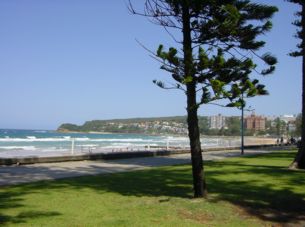 Bondi Beach