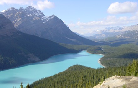 Peyto Lake - Blick vom Bow Summit