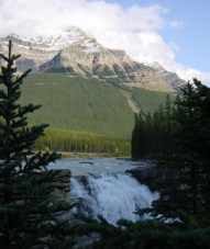 An den Sunwapta Falls