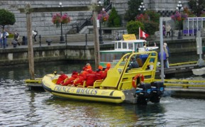 Unser Whale Watch - Boot