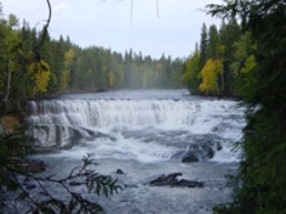 Dawson Falls