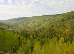 Blick ins herbstliche Tal im Wells Gray Park