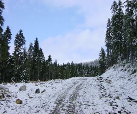 der erste Schnee auf den Skihngen rund um Whistler