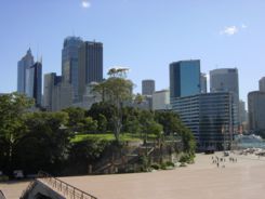 Teil der Sydney Skyline mit Botanischem Garten im Vordergrund